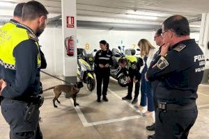 Almassora estudia implantar una Unitat Canina en la Policia Local - (foto 3)