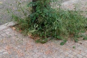 Compromís per Paterna pregunta per què a la Canyada no es reomplin els escocells
