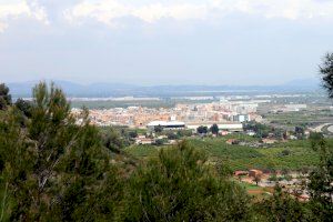 Otro pueblo de Castellón proyectará también Barbie y 20.000 especies de abejas