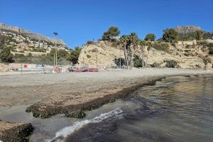 Las obras de Puerto Blanco permiten ampliar la playa en 700 m² de extensión - (foto 6)