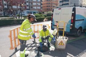 Burriana caza insectos y roedores ante el aumento de temperaturas