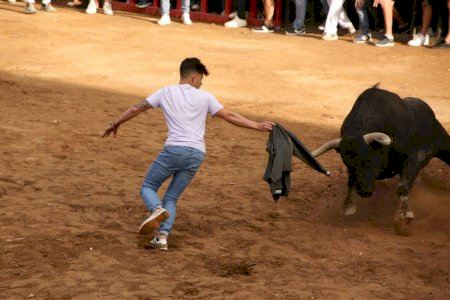 Los bous al carrer dan la batalla ante la nueva imposición de los veterinarios: “Hay intereses económicos detrás”