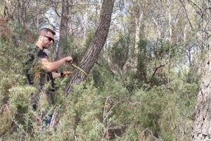 L'Ajuntament identifica les zones d'actuació del projecte Valencia Biovaloriza