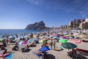 La regulación autonómica limita la retirada de posidonia a la playa de la Fossa de Calpe