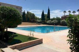 Prohíben el acceso a la piscina de Petrer a los cuatro jóvenes que causaron ayer una pelea con palos