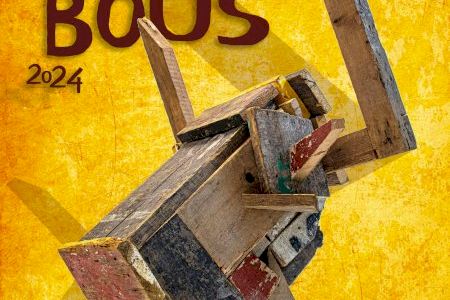 La Setmana de Bous d'Algemesí de 2024 ja té cartell anunciador