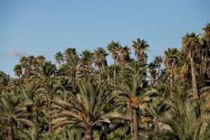 Elche seleccionada en un proyecto europeo para la recuperación del patrimonio hidráulico Elche seleccionada en un proyecto europeo para la recuperación del patrimonio hidráulico