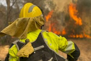 Un descuido puede ser fatal: la Generalitat pide colaboración para proteger los montes en verano