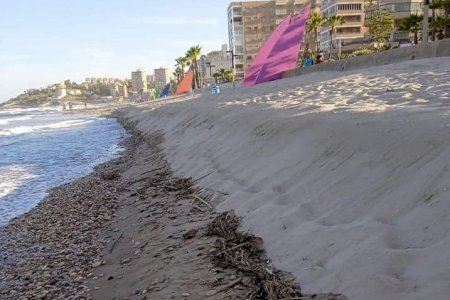 Una cadena humana reclama la protección de las playas valencianas ante el 'ecocidio' que está destruyendo el hábitat