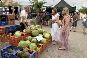 Mercaplaya abre este domingo en Almassora hasta el 25 de agosto