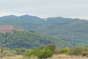 Una columna de humo en las Peñas Aragonesas de Artana obliga a movilizar a los bomberos