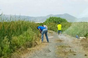 L'ajuntament d'Almenara contracta a 22 persones durant dos mesos per a les memòries de l'atur agrari