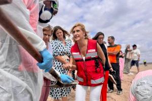 Retiran 1 kilómetro de fuel de las playas afectadas en Valencia por la marea negra - (foto 3)