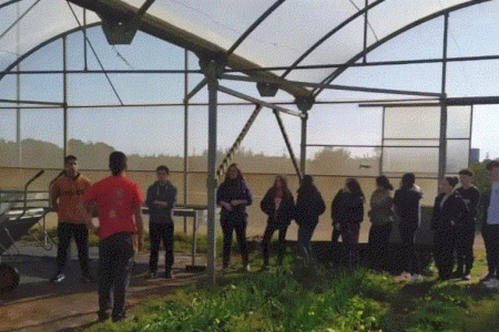 Nules impulsa la formación agraria con la cesión de parcelas municipales al IES Gilabert de Centelles