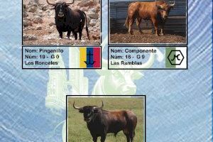 La Junta de Festes de Vila-real presenta el cartel de 'bous al carrer' de la Mare de Déu de Gràcia - (foto 2)