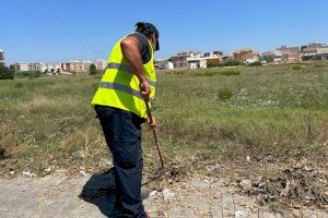 Alfafar trabaja en la limpieza y desbroce de los accesos al municipio - (foto 2)