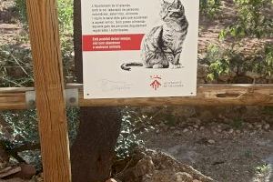 Vilafamés crece en el control de las colonias felinas