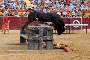 GALERÍA | Oropesa vibra con con sus ‘bous al carrer’
