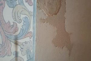 El PP de Llíria pide la reparación de los desperfectos, la eliminación de humedades y la mejora de la iluminación en la Iglesia de La Sangre - (foto 2)