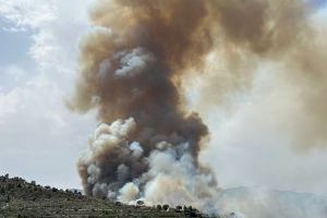 VIDEO | Solicitan ayuda a la UME para frenar el incendio forestal de Benasau - (foto 6) VIDEO | Solicitan ayuda a la UME para frenar el incendio forestal de Benasau - (foto 6)