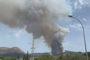 VIDEO | Solicitan ayuda a la UME para frenar el incendio forestal de Benasau - (foto 4) VIDEO | Solicitan ayuda a la UME para frenar el incendio forestal de Benasau - (foto 4)