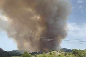 VIDEO | Solicitan ayuda a la UME para frenar el incendio forestal de Benasau - (foto 7) VIDEO | Solicitan ayuda a la UME para frenar el incendio forestal de Benasau - (foto 7)