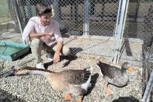 Cerca del 50 % de los animales exóticos que acoge el centro municipal Avifauna encuentran una segunda oportunidad