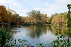 Planes para este verano en la Comunitat Valenciana: descubre la magia del increíble lago de Anna a bordo de una barca