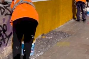 El equipo de gobierno amplía a través de la Junta de Gobierno la labor de las brigadas antipintadas