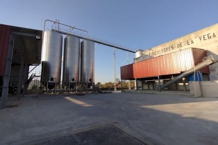 La Cooperativa de Viticultores de la Vega consigue la autorización para la elaboración de vinos base cava