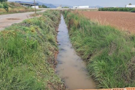Plan de empleo en Nules: 47 contrataciones para combatir el paro agrícola