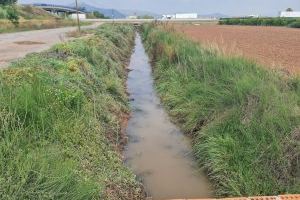 Pla d'ocupació a Nules: 47 contractacions per a combatre l'atur agrícola