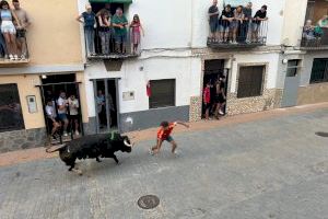 La mejor oferta taurina abre la recta final de las fiestas en Les Useres