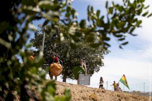 Llegada de los primeros asistentes a la zona de acampada del Rototom Sunsplash Llegada de los primeros asistentes a la zona de acampada del Rototom Sunsplash