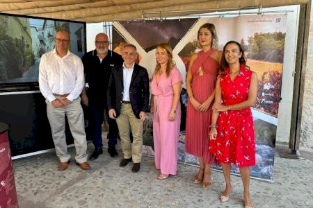 Barrachina: “Desde el Consell apoyamos la candidatura de Requena como Ciudad Europea del Vino para 2025”