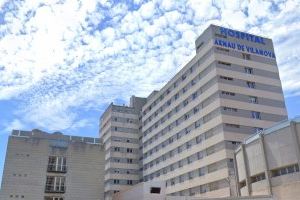 Nou accident provocat per senglars: dos ferits en l'A-7 a l'altura de Godella