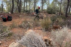 El Ayuntamiento de Altea recibe 50.000€ en subvenciones para trabajos de prevención de incendios