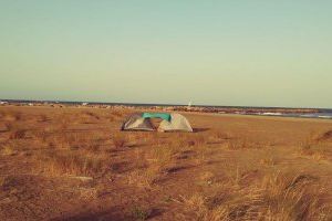 Confirmada la presència, un estiu més, del corriol camanegre a la platja de Rafalell i Vistabella - (foto 3)