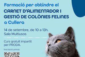 Cullera crea un carnet d’alimentadors de colònies felines per augmentar el seu control i benestar