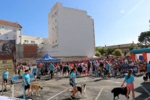 Centenares de personas participan en la Fira de l’Esport  2024 de Llíria - (foto 3)