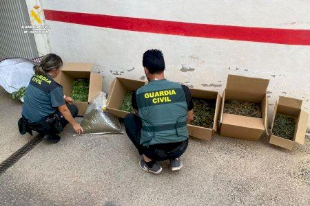Golpe al narcotráfico en dos localidades de Castellón: desmantelan tres puntos de venta de droga Golpe al narcotráfico en dos localidades de Castellón: desmantelan tres puntos de venta de droga
