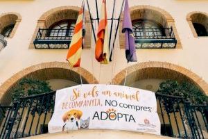 L’Eliana celebra el Día Mundial de los Animales para promover el bienestar animal y la tenencia responsable L’Eliana celebra el Día Mundial de los Animales para promover el bienestar animal y la tenencia responsable