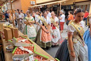Un autobús gratuito unirá Alcalà y Alcossebre durante la X Fira de la Tomata de Penjar