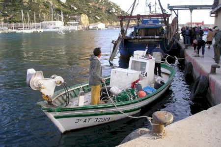 Expertos en pesca apuestan por esperar a la recuperación de las poblaciones pesqueras antes de aplicar más reducciones Expertos en pesca apuestan por esperar a la recuperación de las poblaciones pesqueras antes de aplicar más reducciones