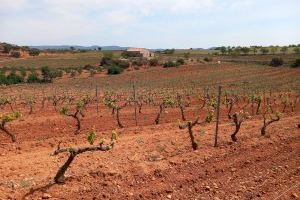 LA UNIÓ reclama a la Conselleria de Agricultura la ampliación de las ayudas por la sequía y al Ministerio de Agricultura que las complemente LA UNIÓ reclama a la Conselleria de Agricultura la ampliación de las ayudas por la sequía y al Ministerio de Agricultura que las complemente