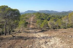 El Ayuntamiento de Sagunto amplía un cortafuegos en Bonilles