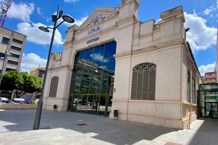 Fin de semana dedicado al bonsái: cultura y técnicas de esta tradición en Orihuela