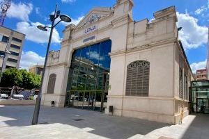 Fin de semana dedicado al bonsái: cultura y técnicas de esta tradición en Orihuela