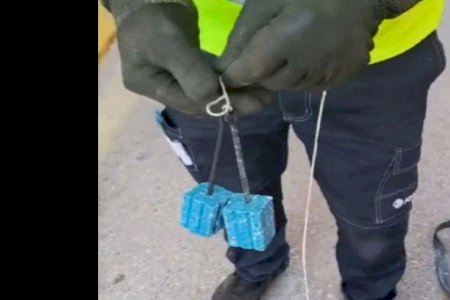 El Ayuntamiento de Alaquàs intensifica la campaña de prevención y control de plagas en espacios públicos