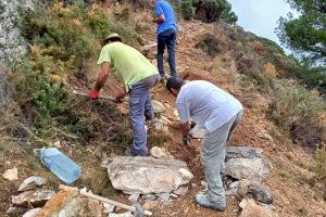 Altea ejecuta trabajos de conservación y mejora del sendero PR-CV7 de Bèrnia - (foto 4)